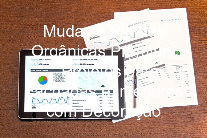 Mudas e Plantas Orgânicas Premium – Projetos para Fachadas e Interiores com Decoração